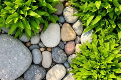 Pierre pour bordure jardin : Laquelle choisir pour un rendu naturel et durable ?
