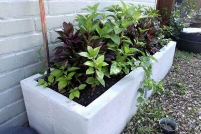 Étanchéité jardiniere en parpaing : étapes et solutions